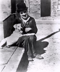 1918.狗的生活  默片  黑白 卓别林 标清 美国喜剧短片 豆瓣8.7 A.Dogs.Life