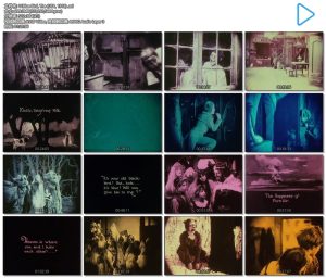 1918.青鸟  默片  黑白 标清 美国奇幻 豆瓣8.5 The Blue Bird