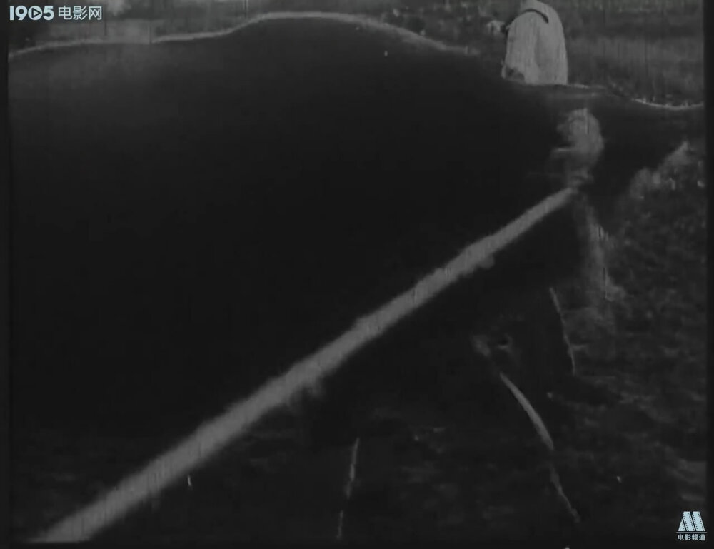 1926.夺国宝 默片黑白 清晰版 动作犯罪 豆瓣6.3
