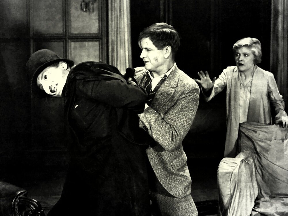 1927.猫和金丝雀 默片彩色 清晰 美国喜剧恐怖悬疑 豆瓣7.1 The Cat and the Canary
