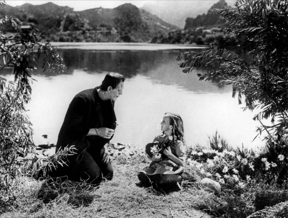 1931.科学怪人 黑白 中字 高清 美国科幻恐怖 豆瓣7.5 Frankenstein