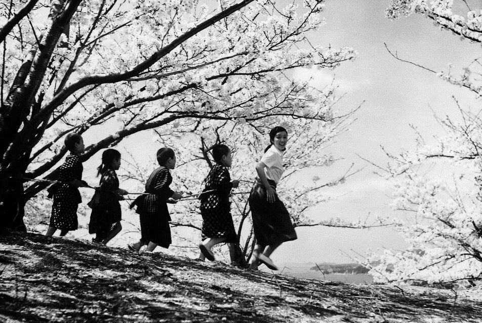 1954.二十四只眼睛 黑白 中字 日本剧情 高清 豆瓣8.5 Twenty-Four.Eyes.BD.MiniSD-TLF