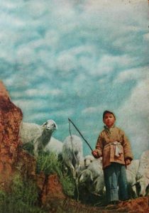 1954.鸡毛信.黑白 高清  儿童片 豆瓣7.4