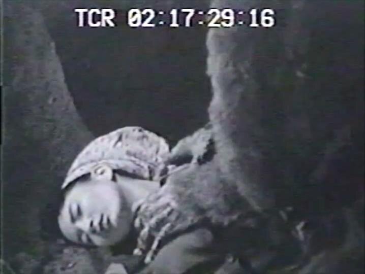 1955.獣人雪男 黑白中字 日美科幻恐怖 标清 豆瓣无分 Half Human The Story of the Abominable Snowman