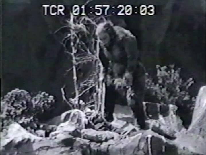 1955.獣人雪男 黑白中字 日美科幻恐怖 标清 豆瓣无分 Half Human The Story of the Abominable Snowman