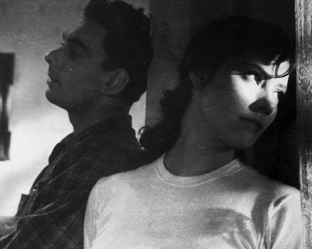 1957.雁南飞.黑白 国语 苏联爱情战争 高清 豆瓣8.8 The Cranes Are Flying.DVD.X264.AAC.HALFCD-