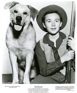 1957.老黄狗 彩色 中字 美国家庭西部冒险 高清 豆瓣8.0 Old.Yeller.BluRay