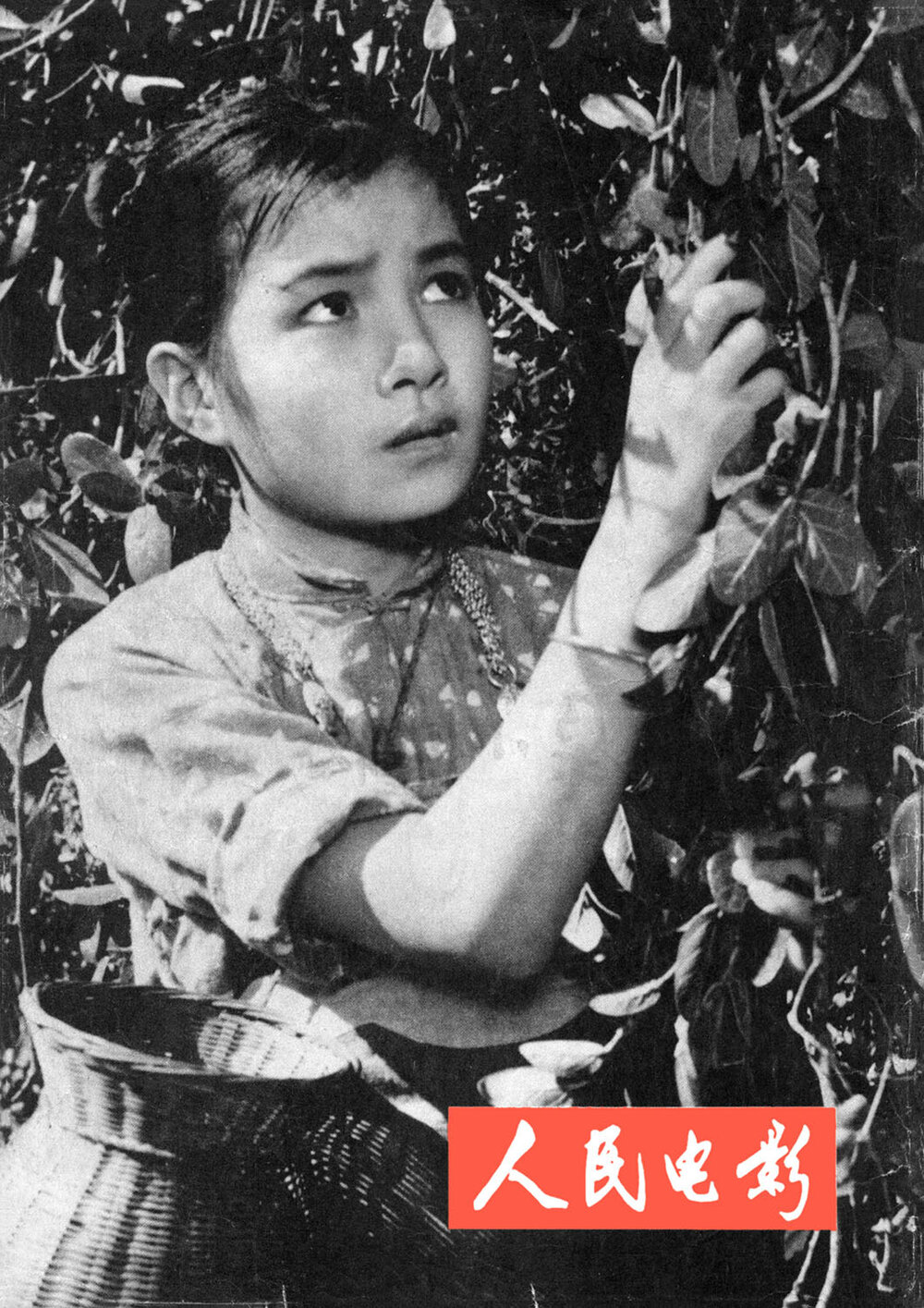1958.红孩子 AI渲染彩色版 高清 豆瓣7.4