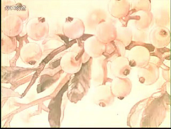 1959.蜜蜂与蚯蚓 彩色 清晰版