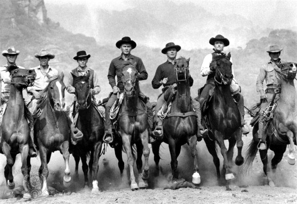 1960.豪勇七蛟龙 彩色 无字 美国西部动作 高清 豆瓣7.4 The Magnificent Seven