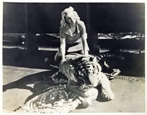 1961.运虎记 彩色  国语 苏联喜剧冒险 高清 豆瓣7.8 Полосатый.рейс.720P.BluRay.x264.ac3