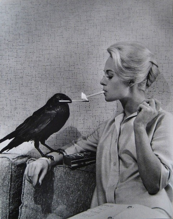 1963.群鸟 彩色中字 高清 美国悬疑惊悚灾难 豆瓣8.0 The Birds