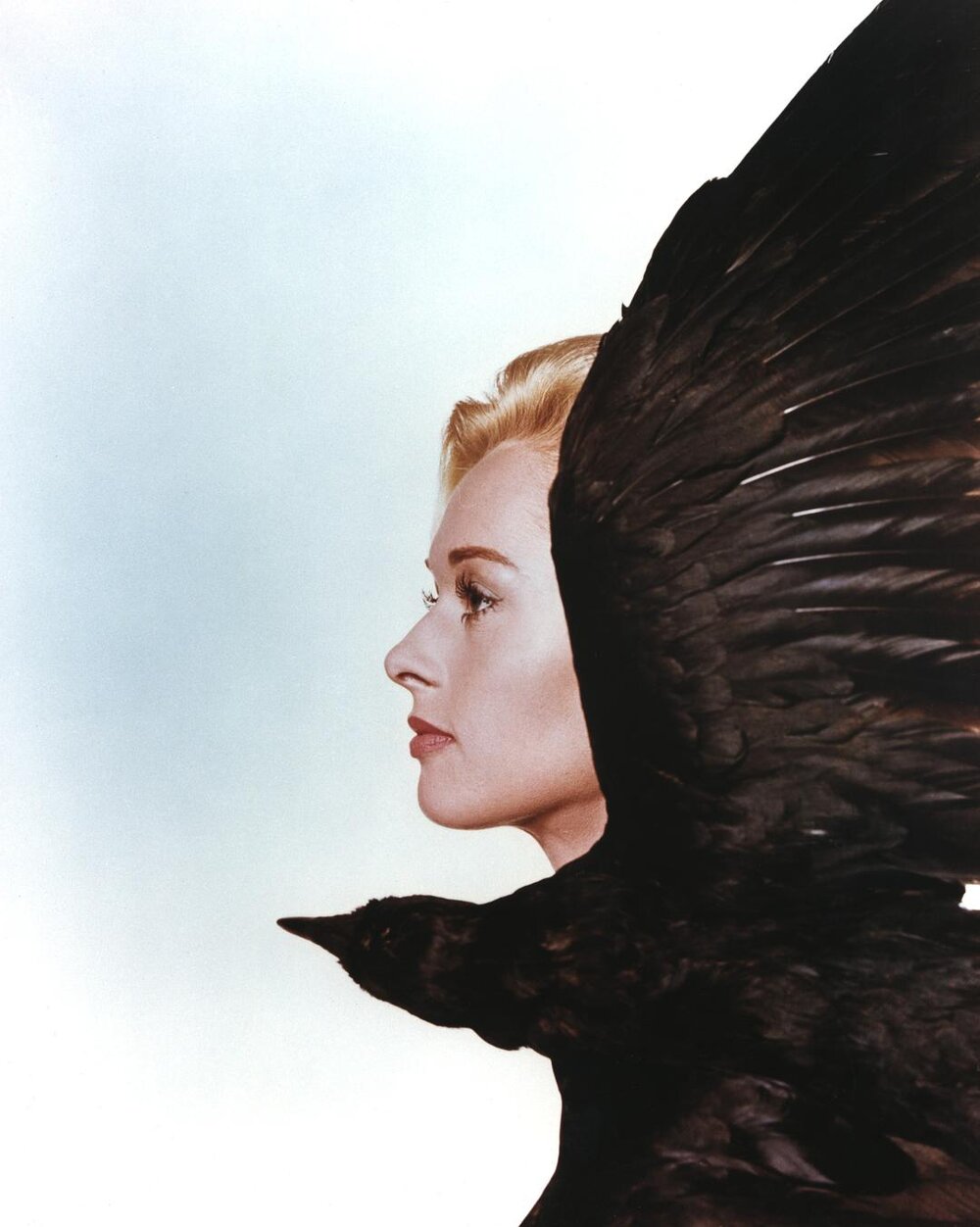 1963.群鸟 彩色中字 高清 美国悬疑惊悚灾难 豆瓣8.0 The Birds