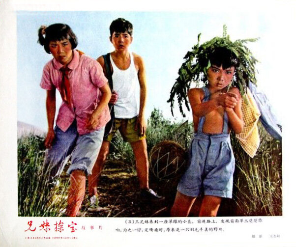 1963.兄妹探宝.黑白 高清 上影儿童片 豆瓣无分