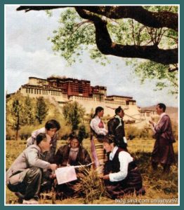 1963.农奴.黑白 高清偏暗 八一 豆瓣8.3