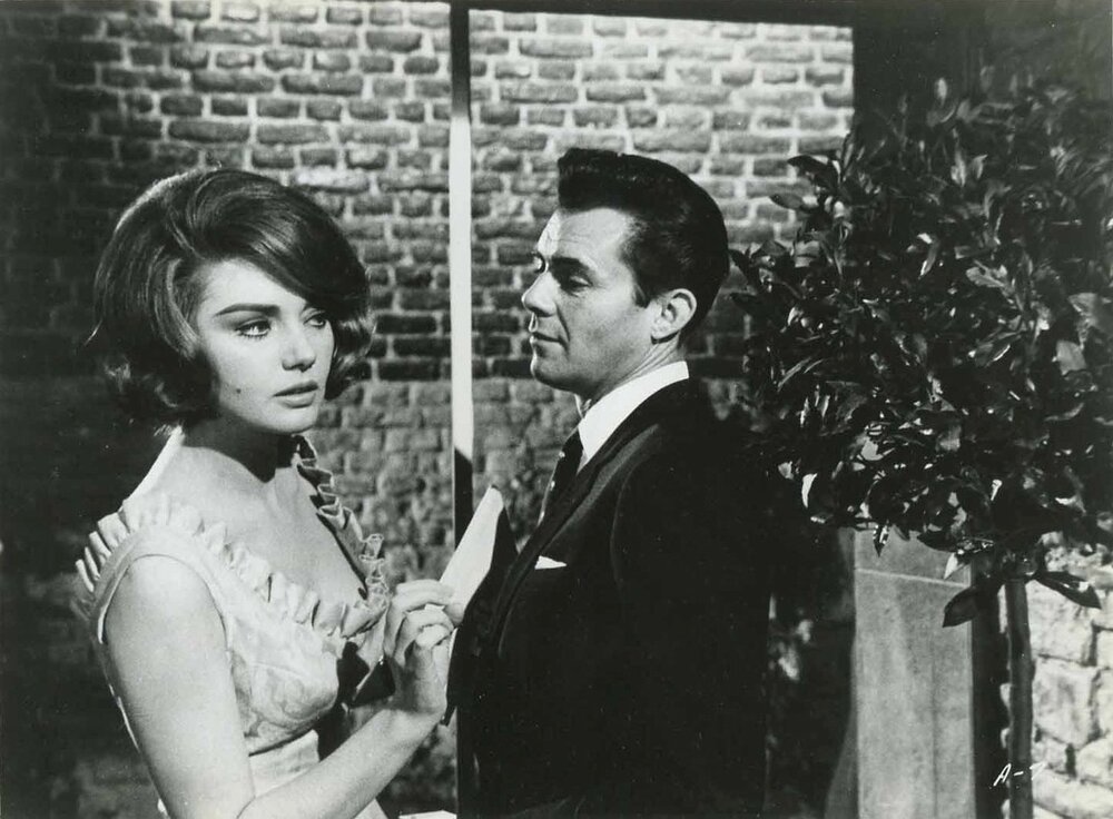 1964.捷京谍影 彩色 中字 英国喜剧 高清 豆瓣6.7 Hot Enough for June  Blu-ray 1080p x264
