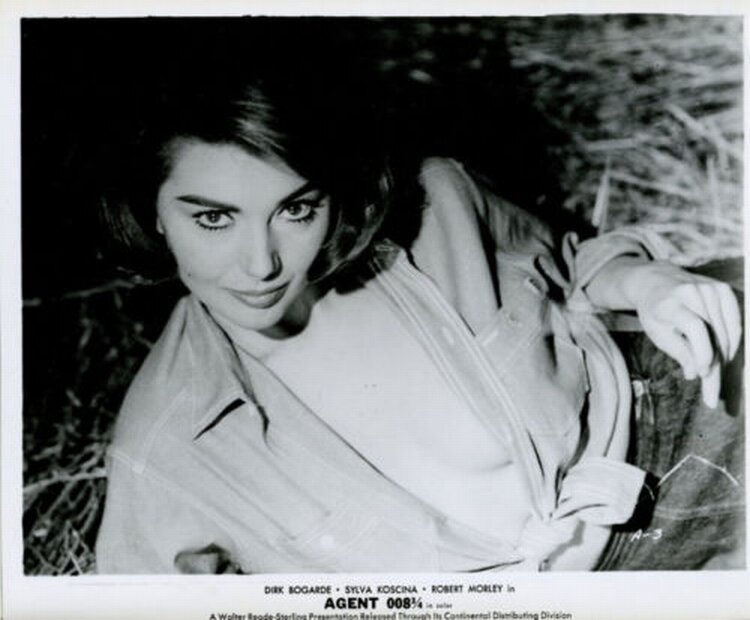 1964.捷京谍影 彩色 中字 英国喜剧 高清 豆瓣6.7 Hot Enough for June  Blu-ray 1080p x264