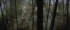 1968.玉罗刹 彩色中字 高清 香港动作 豆瓣6.8 郑佩佩  谷峰  邵氏