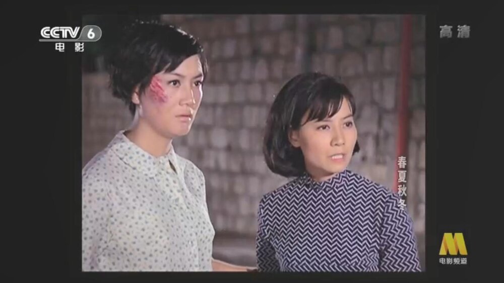 1969.春夏秋冬 彩色中字 高清 香港 豆瓣6.1 方辉 丁亮