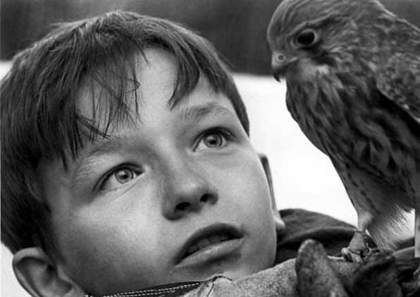 1969.小孩与鹰 彩色 中字 高清 英国剧情儿童 豆瓣8.6 .Kes.BluRay.Criterion.Collection.720p.x264.AC3-CMCT