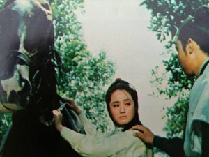 1970.十二金牌 彩色 中字 高清 香港武侠 豆瓣7.1  岳华  秦萍  邵氏