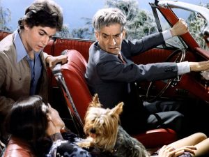 1971.落在树梢.彩色  国法双语 高清 法国喜剧 豆瓣7.8 Sur.un.arbre.perche.DVDrip.x264.Chi.Fre-Vice0