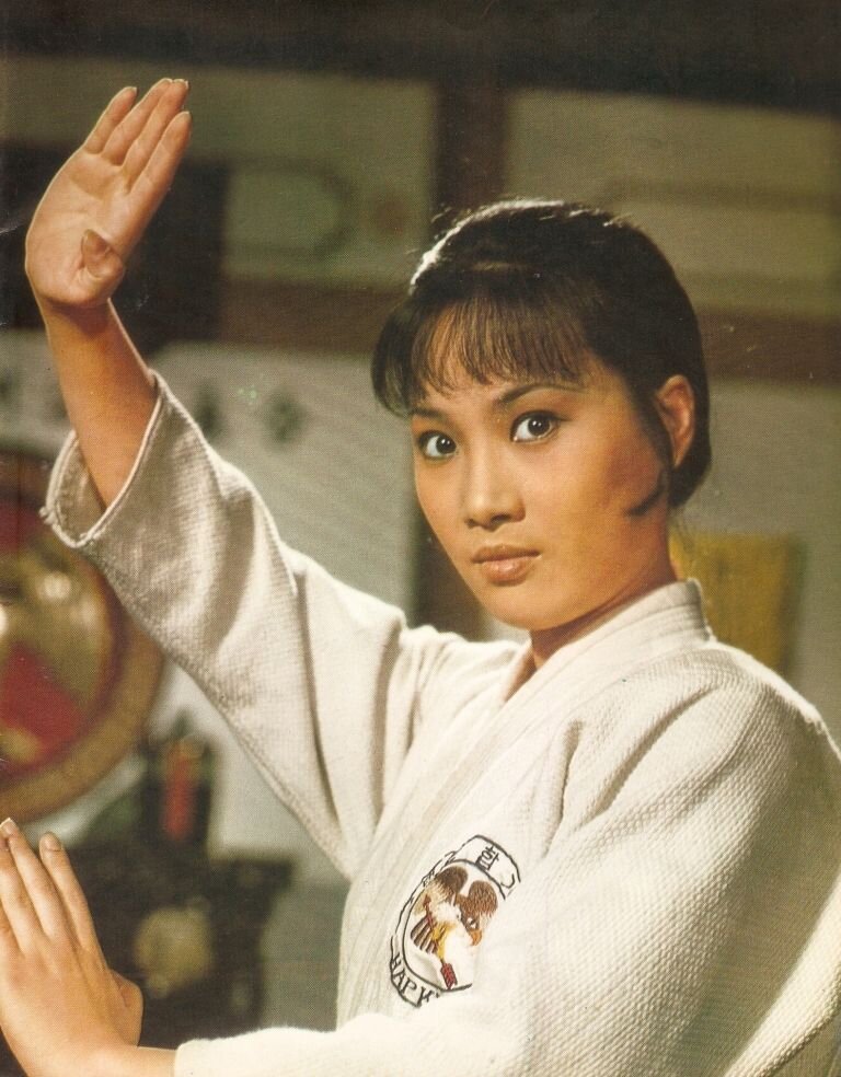 1972.合气道 彩色中字 高清 香港动作 豆瓣6.5 洪金宝