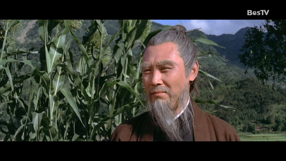 1972.金旋风 彩色中字 高清 香港武侠 苗可秀 谢贤