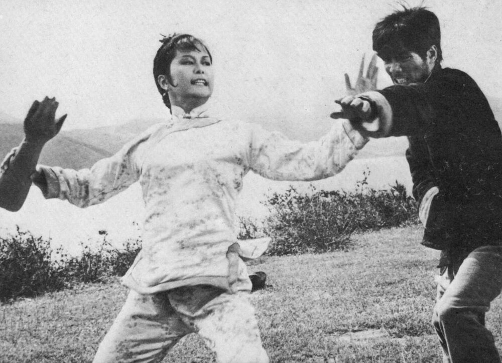 1972.霹雳拳 彩色中字 高清 香港动作冒险 豆瓣5.9 施思 邵氏