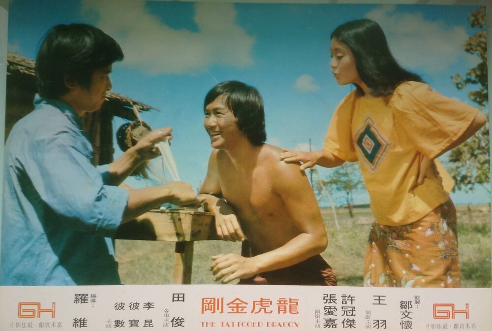 1973.龙虎金刚 彩色中字 清晰 香港动作 豆瓣5.9 王羽 许冠杰