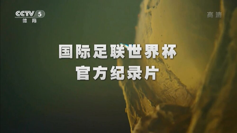 1962.德国世界杯纪录片-王者巴西 1080P