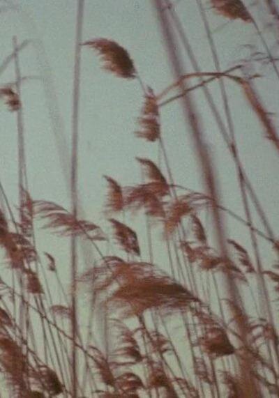 1970.佐恩引理.美国纪录片 豆瓣7.8 Zorns.Lemma.BD.CC.MiniSD-TLF