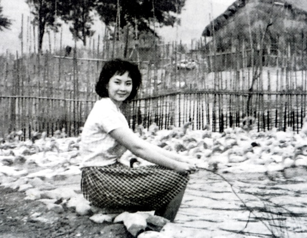 1965.养鸭人家 彩色清晰 爱情 台湾 豆瓣6.7